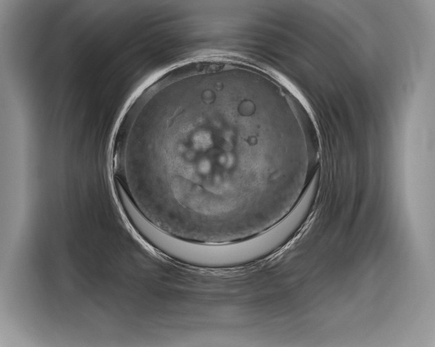 X0000116871437200912221357