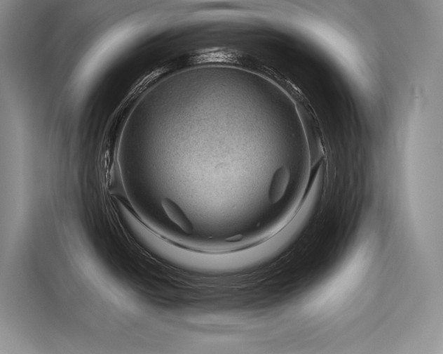X0000116871438200912221357