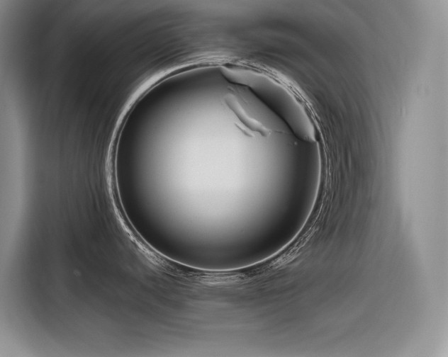 X0000116871440200912221357