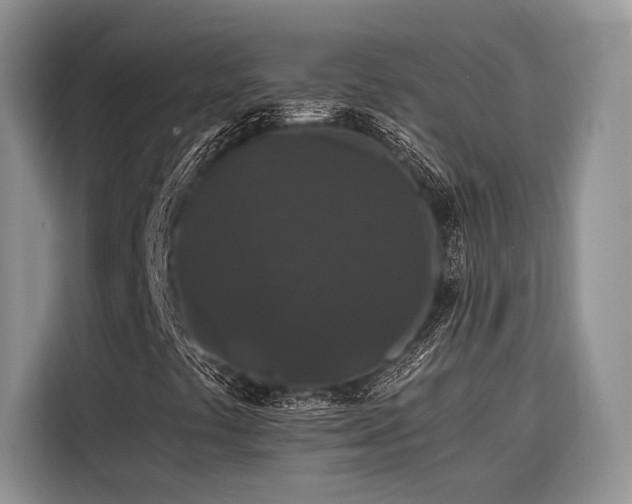 X0000116871441200912221356
