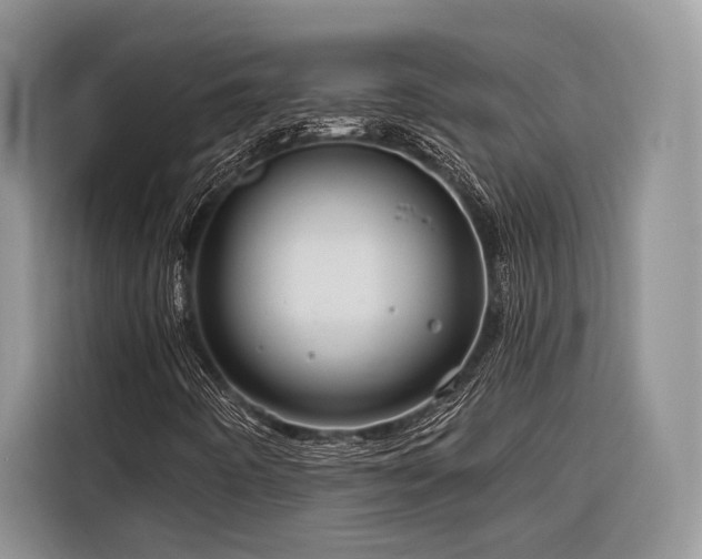 X0000116871442200912221356