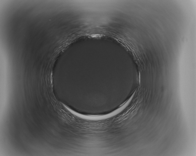 X0000116871443200912221356