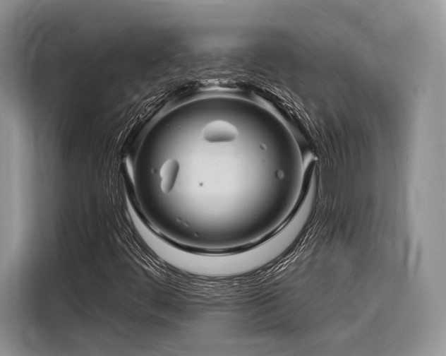 X0000116871444200912221356