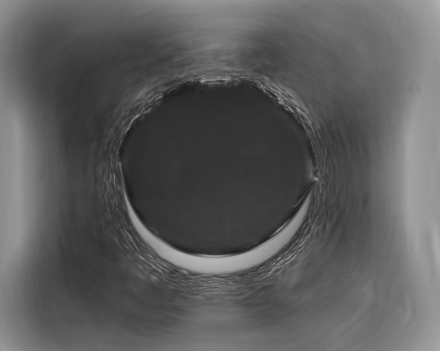 X0000116871445200912221356