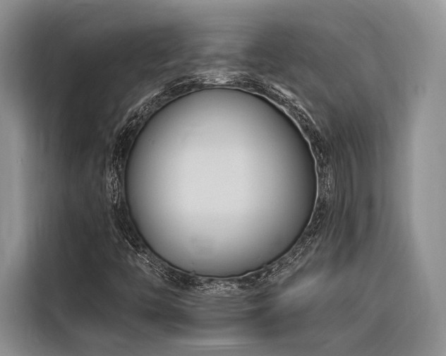 X0000116871446200912221356