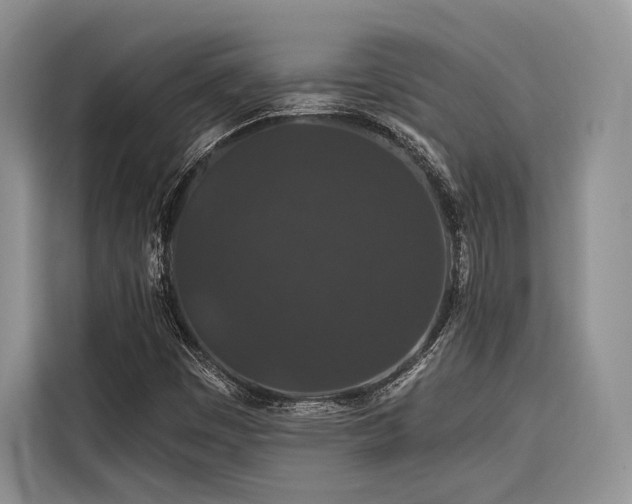 X0000116871449200912221356
