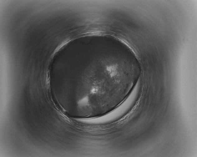 X0000116871450200912221356
