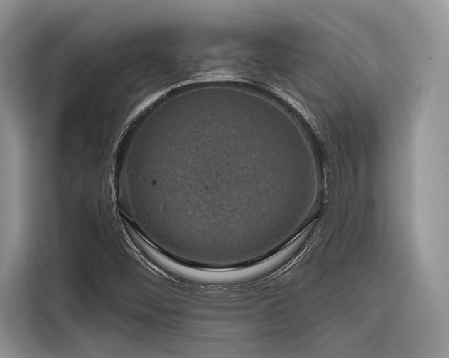 X0000116871452200912221356