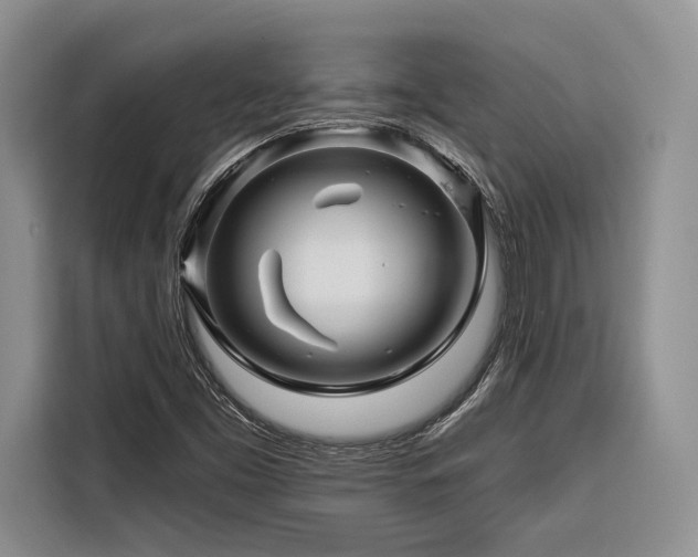 X0000116871453200912221356