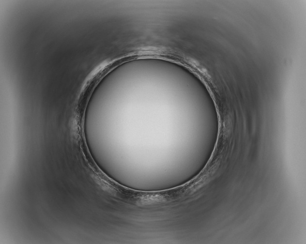 X0000116871454200912221356