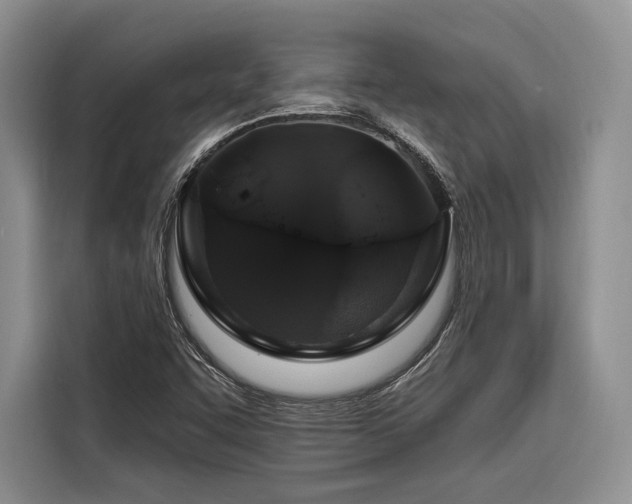 X0000116871455200912221356