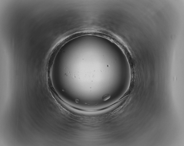 X0000116871456200912221356