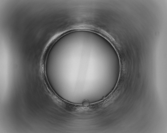 X0000116871462200912221356