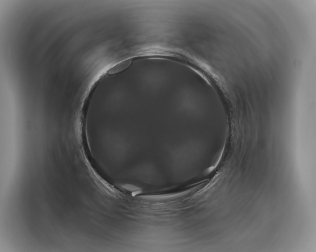 X0000116871463200912221356