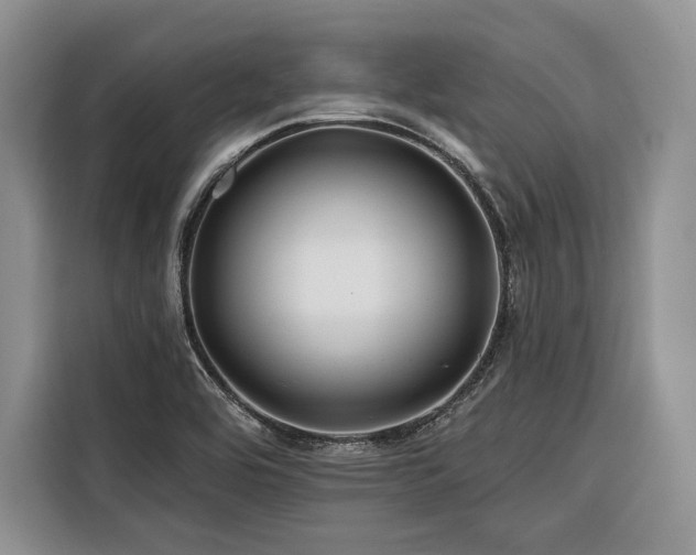 X0000116871464200912221356