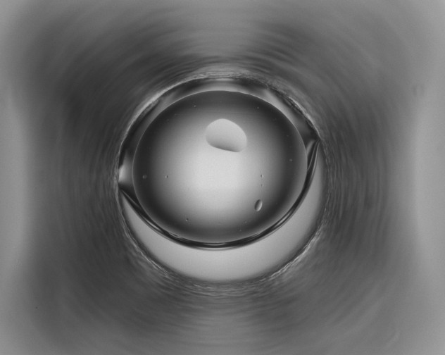 X0000116871465200912221356