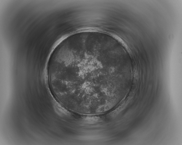 X0000116871466200912221356
