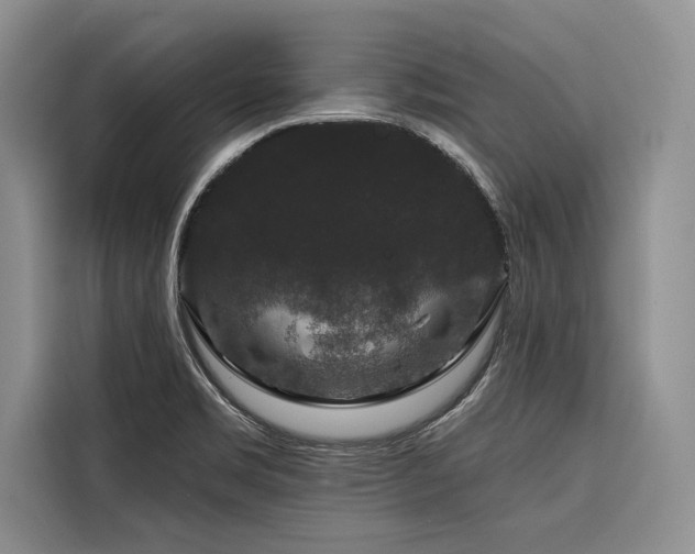 X0000116871469200912221356