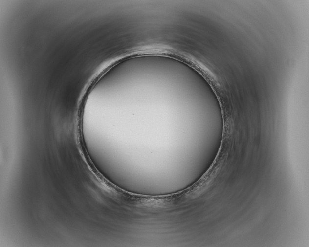 X0000116871470200912221356