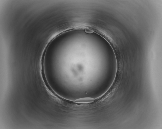 X0000116871471200912221356
