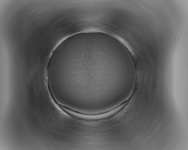 X0000116871476200912221356