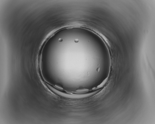 X0000116871477200912221356