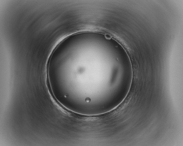 X0000116871479200912221356