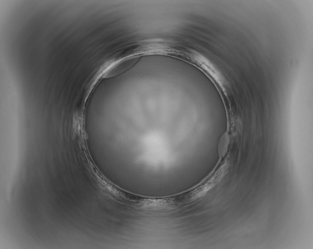 X0000116871481200912221356