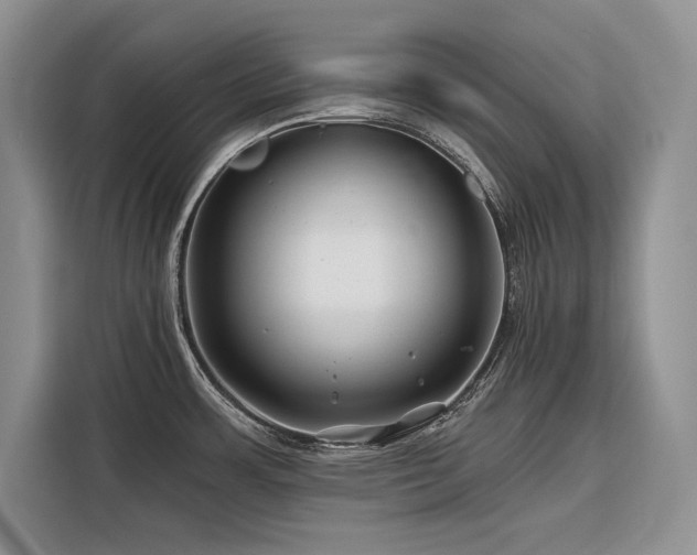 X0000116871483200912221356