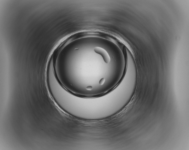 X0000116871485200912221356