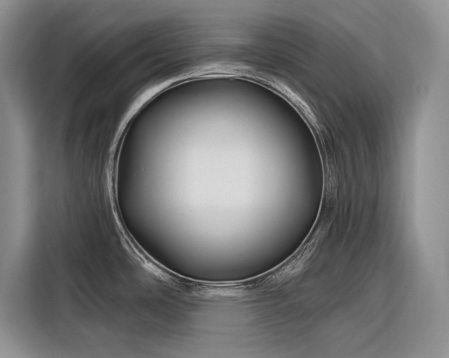 X0000116871486200912221356