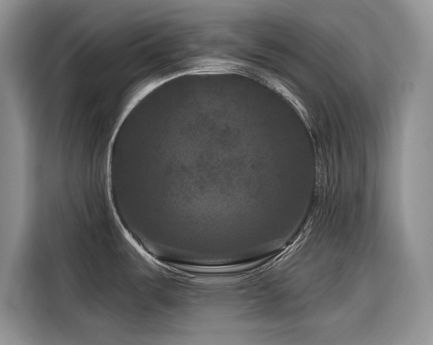 X0000116871487200912221356