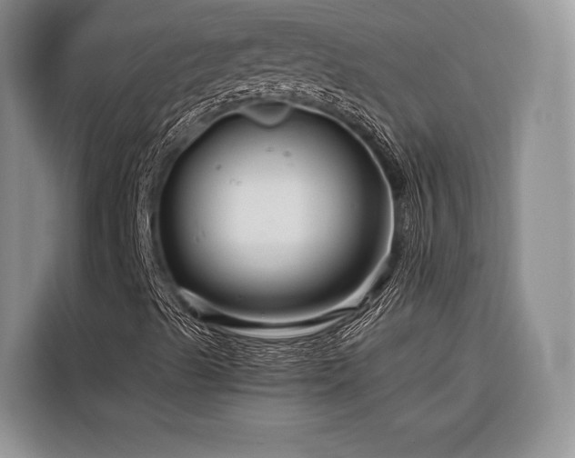 X0000116871489200912221355