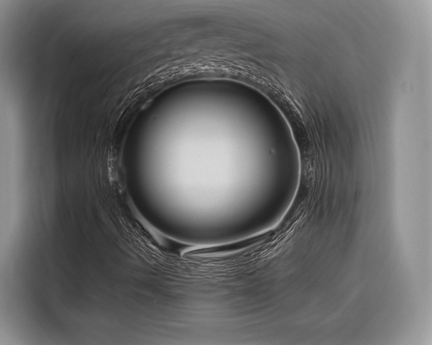 X0000116871490200912221355