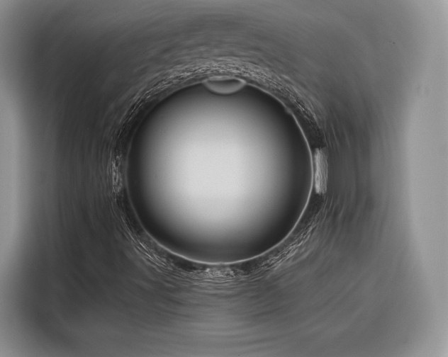 X0000116871491200912221355