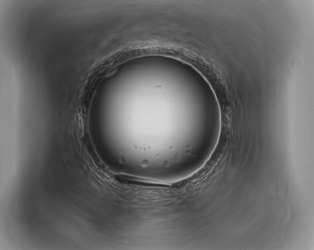 X0000116871493200912221355