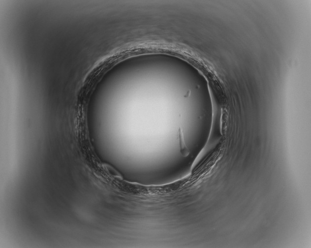 X0000116871494200912221355
