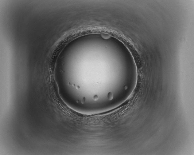 X0000116871495200912221355