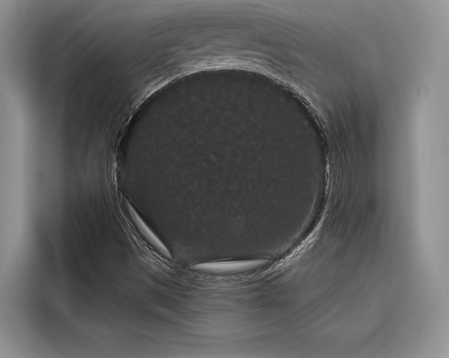 X0000116871497200912221355