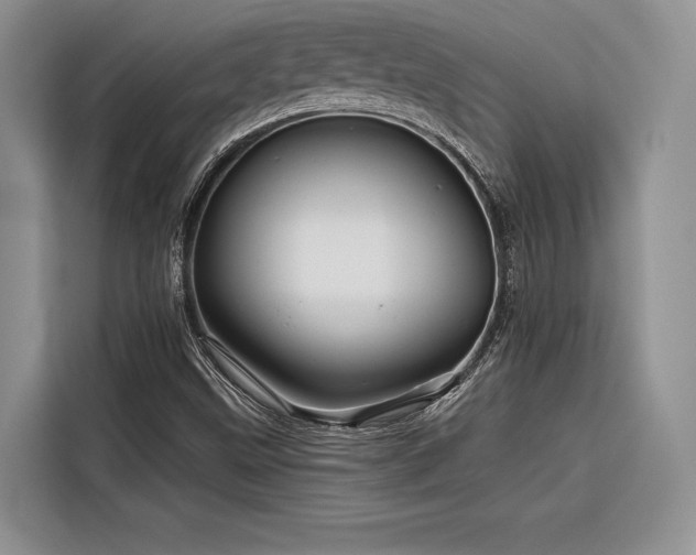 X0000116871499200912221355