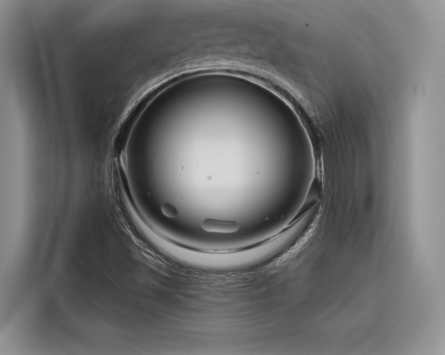 X0000116871501200912221355