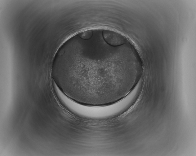X0000116871505200912221355