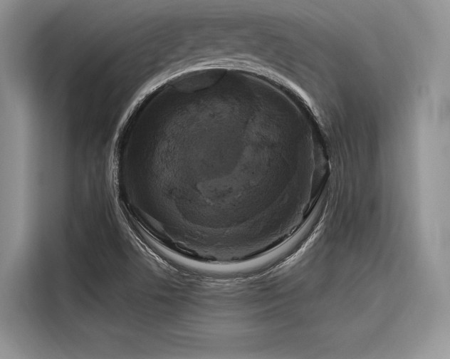 X0000116871506200912221355