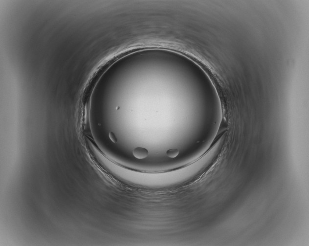 X0000116871507200912221355