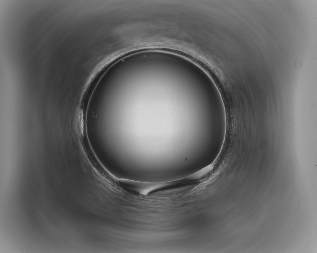 X0000116871509200912221355
