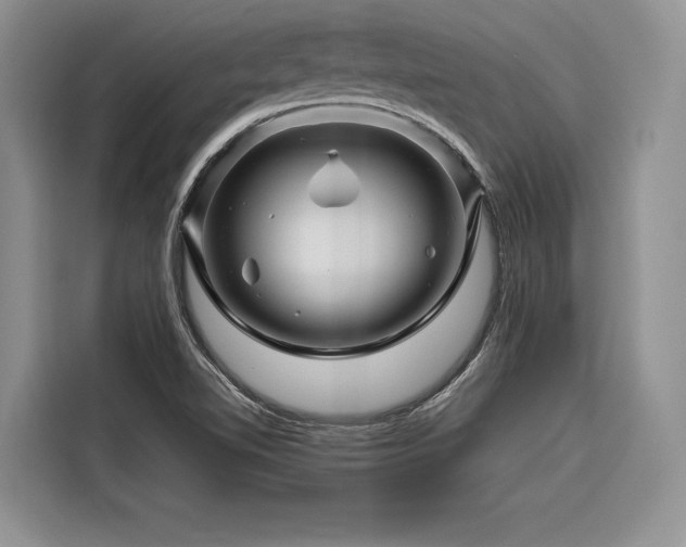 X0000116871510200912221355