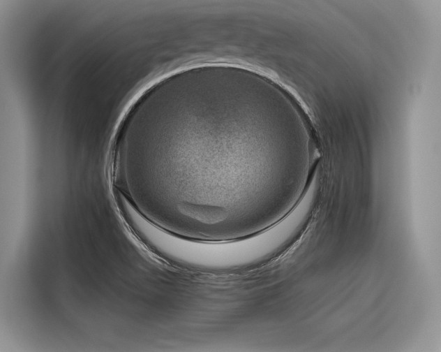 X0000116871511200912221355