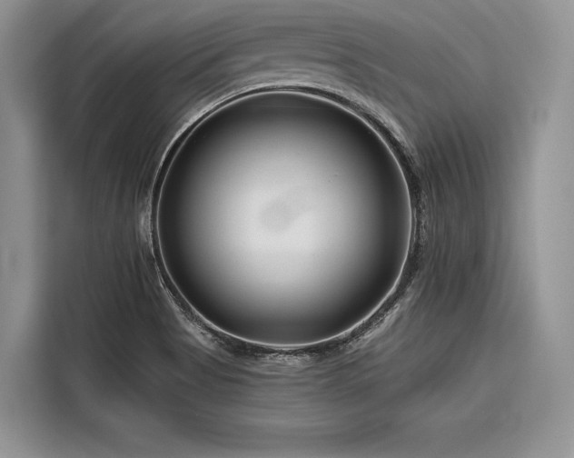 X0000116871513200912221355