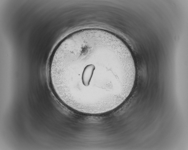 X0000116871514200912221355