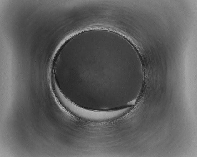 X0000116871515200912221355